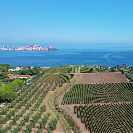 Sunset House - Argonautivacanze 公寓 费拉约港