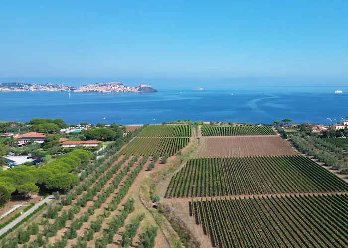 Sunset House - Argonautivacanze Апартаменты Портоферрайо